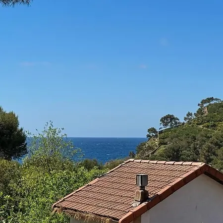 Bord De Avec Jardin Dans Ancienne